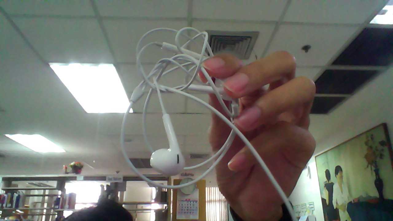 หูฟัง (Earphones) 