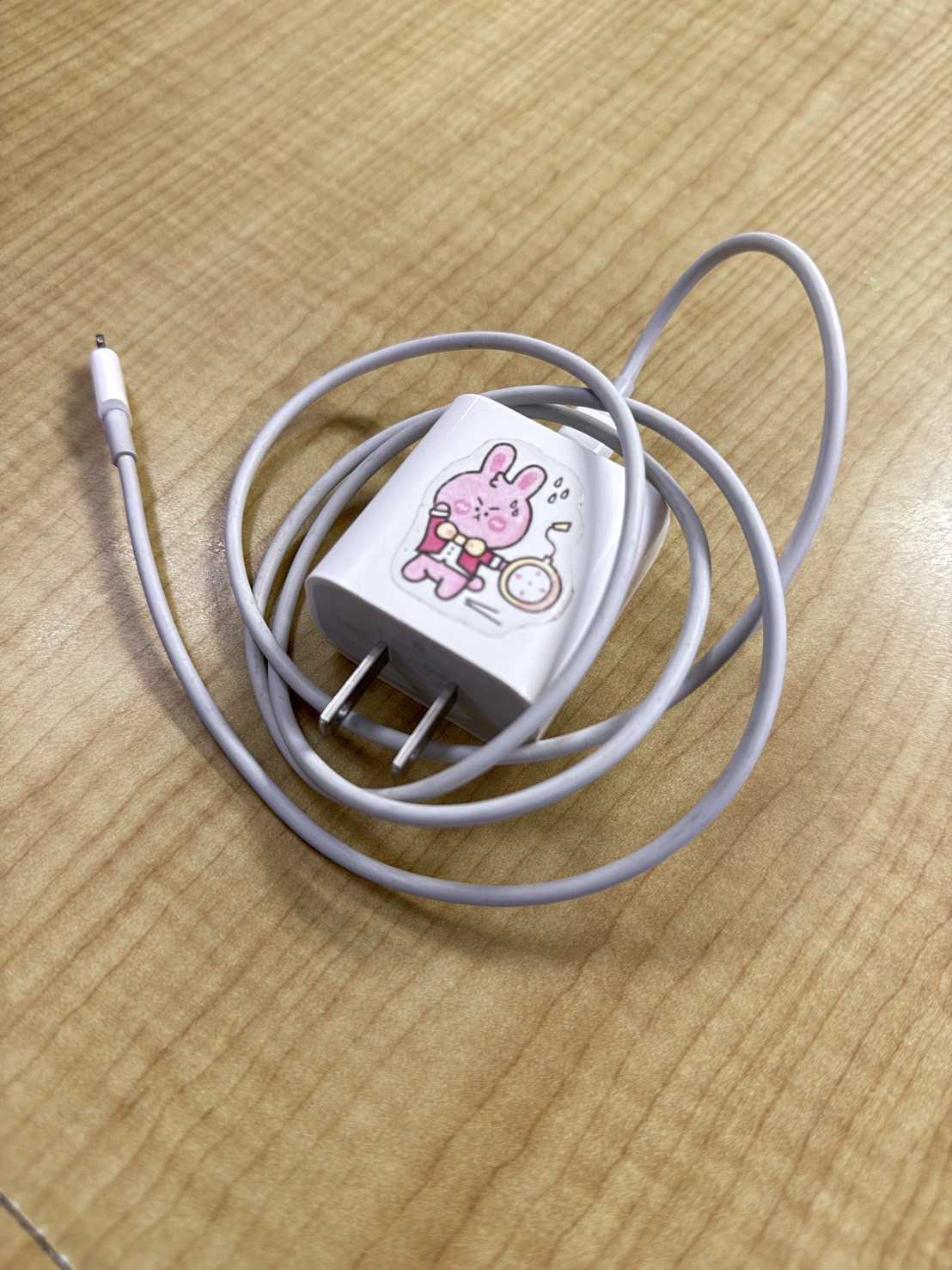 สายชาร์จ (Charging cable) 